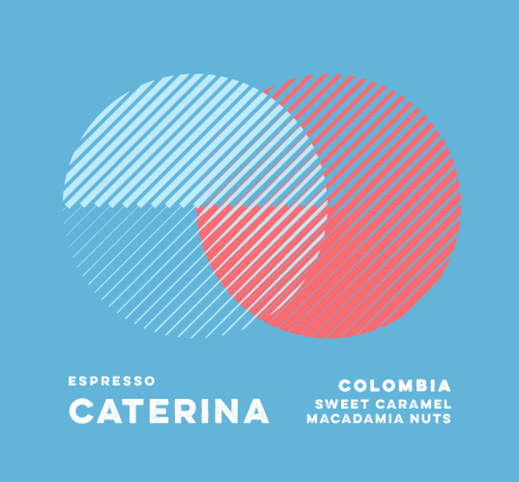 caterina specialty coffee